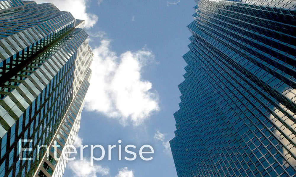 企业/Enterprise